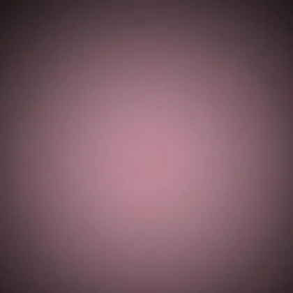 VENUS BELT
