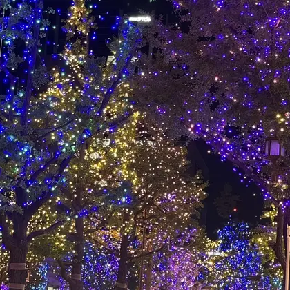 Nail Share Salon Mariris