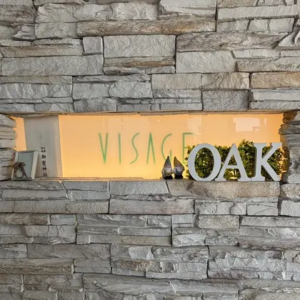 VISAGE oak