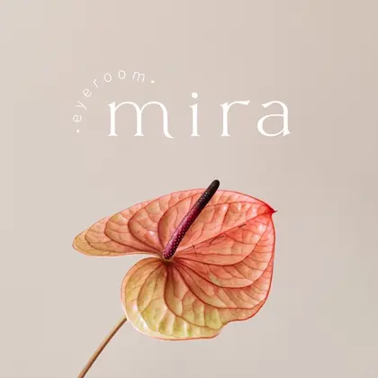 eyeroom mira 代官山店