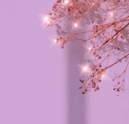 Lila  リラ  近江八幡店