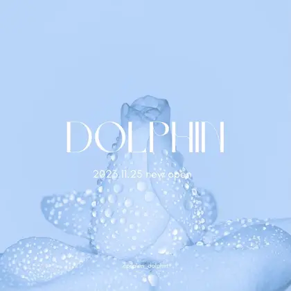 DOLPHIN salon