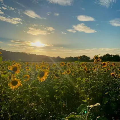 TREAT HAIR DESIGN 新浦安店