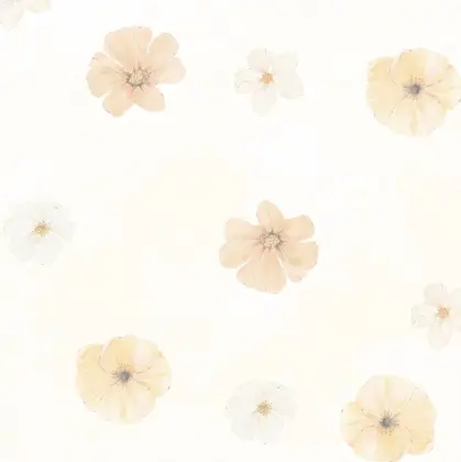 Fiara アイラッシュ合同研修所