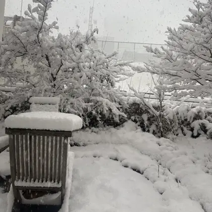 Be All 本店 Eyelash & Nail