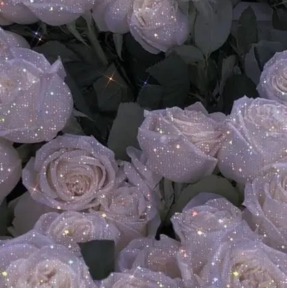 Newone by neighbor