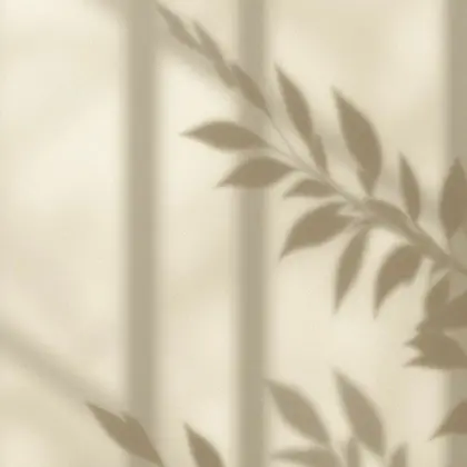 SALOWIN 原宿 IL Salice