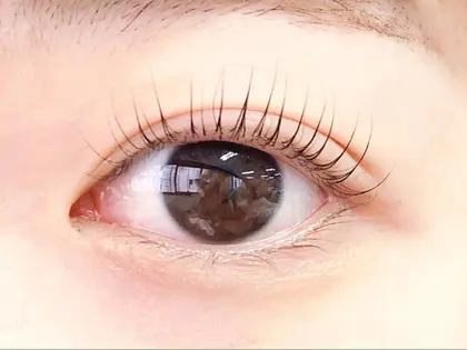 ルシードスタイルビギンアイラッシュ