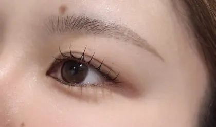 the laughter/The bleach