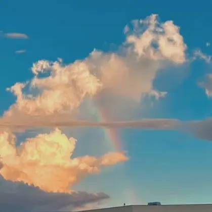カルフールノア高田馬場