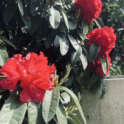 frau新百合ヶ丘