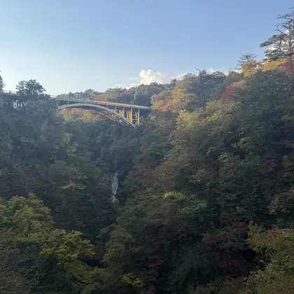 ananda