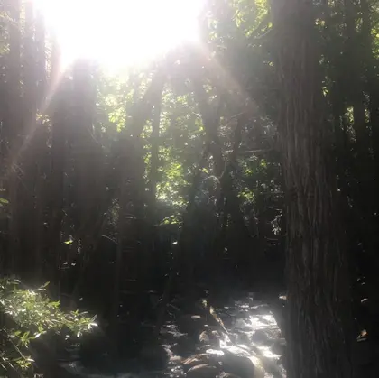 仙台まつ毛エクステサロンdesignK本店