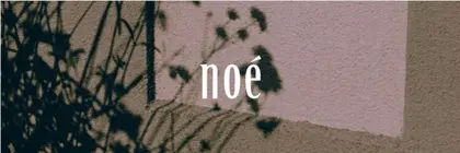 noé【ノエ】