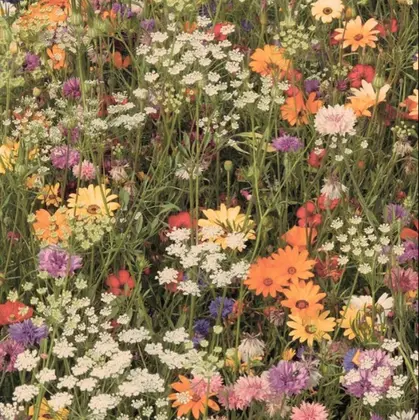 infinity水天宮前