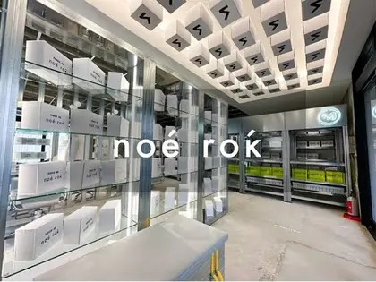 noe rok