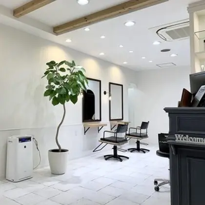 MOLLA SALON 鳳店