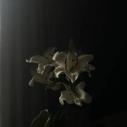 Nail Salon Lillion【リリオン】