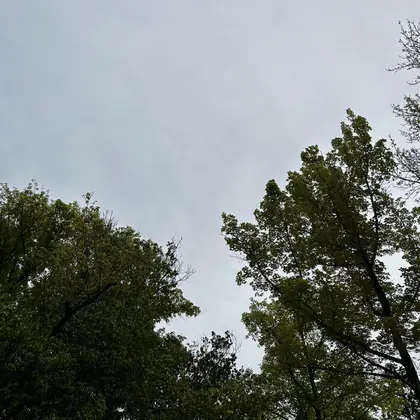 Can I Dressy天神橋5丁目店