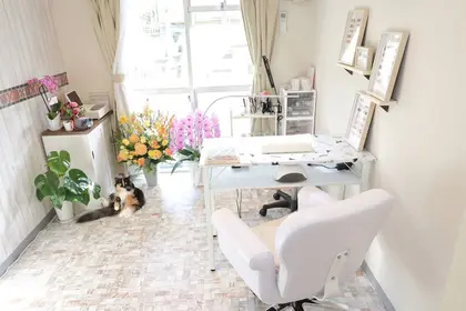 Nail salon Purem