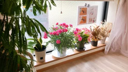 BELLES eyelash & eyebrow