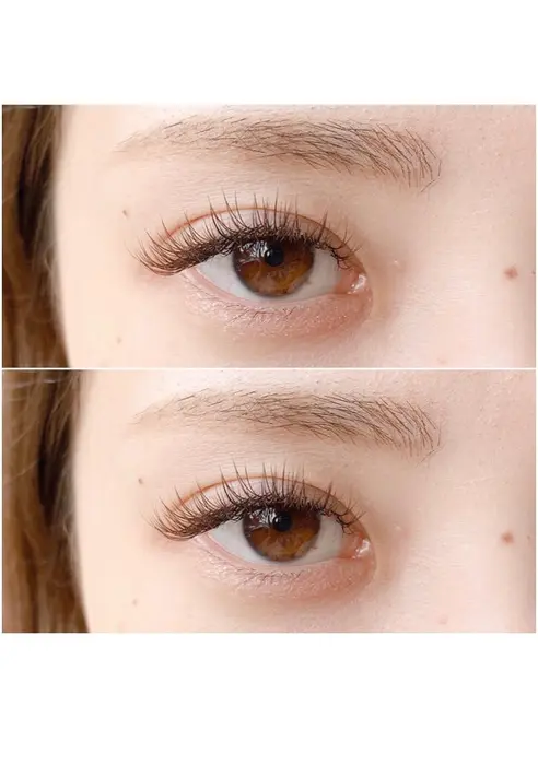 フラット ラッシュ ブラウン