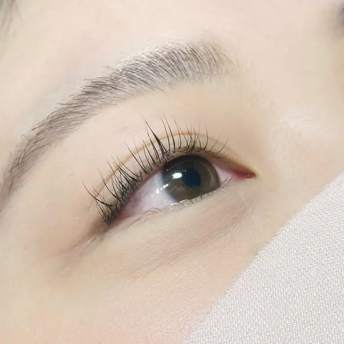 根本からぱっちり𓁺パリジェンヌラッシュリフト𓍯 ビューラー要らずのお目元に Neolive An 溝の口店所属 Momoko Eyelistのマツエクデザイン ミニモ