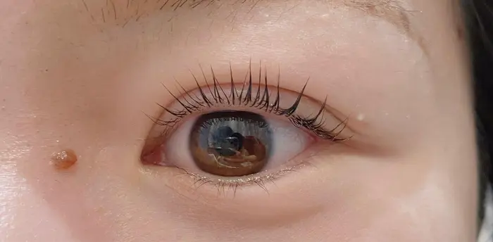 まつげエクステlupinus国立店所属 岡田 あゆみのマツエクデザイン ミニモ