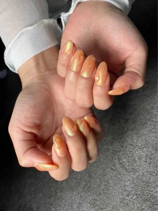スカルプ オフのみ 持ち込み ワンカラー マグネットネイル ギャラクシー ニュアンスネ Toxic Nail Body Painting Studio所属 Kan 10のネイルデザイン ミニモ