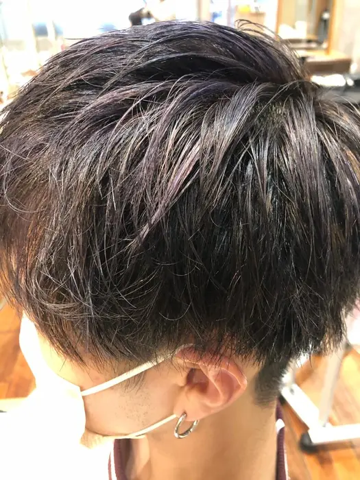 パープルメッシュ Hair Make Earth三軒茶屋店所属 メンズ特化 井波大虎のヘアカタログ ミニモ