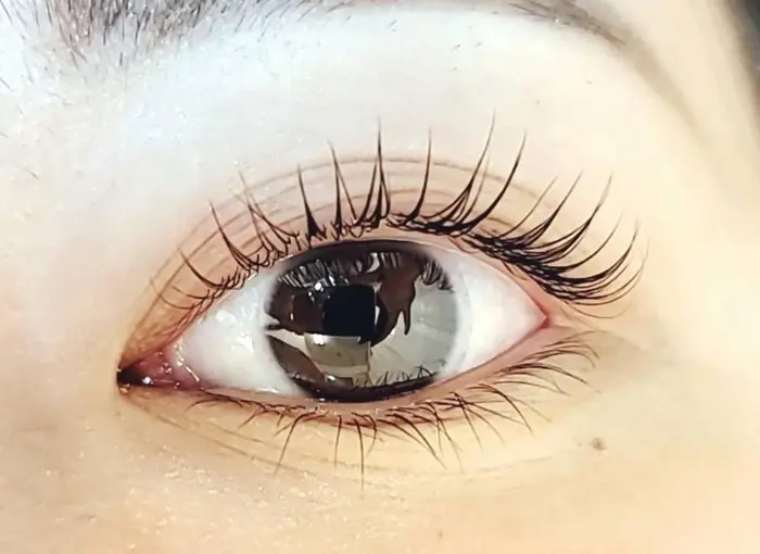 まつ毛パーマ Beautysalon Eyes所属 アイズ なんば店のマツエクデザイン ミニモ