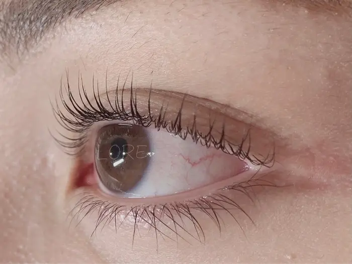 上下まつげトリートメント カール リフト Lore Eye Lash所属 Lore Eye Lashのマツエクデザイン ミニモ