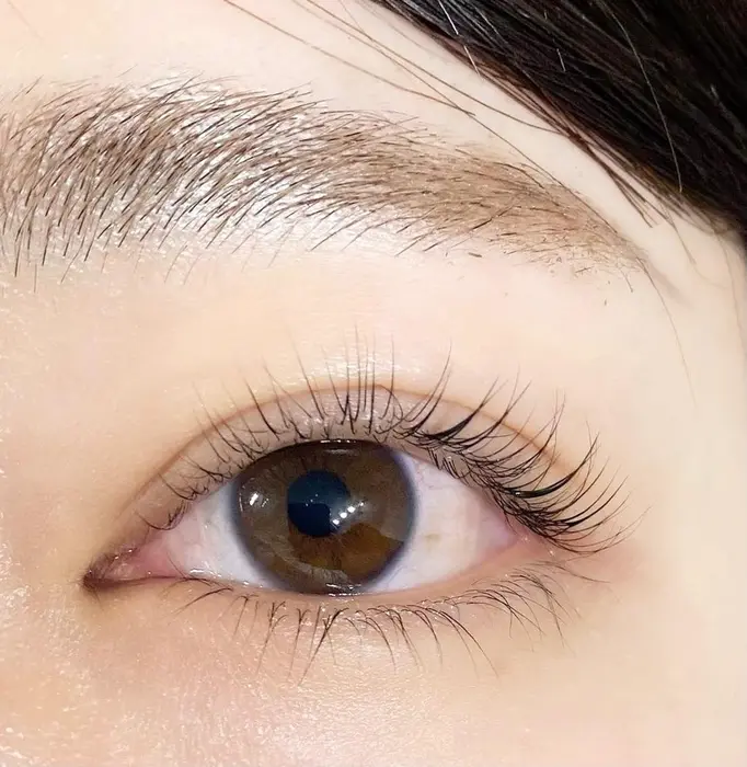 一節 祖母 胆嚢 マツエク セリナ 池袋 Maroccodasogno Com