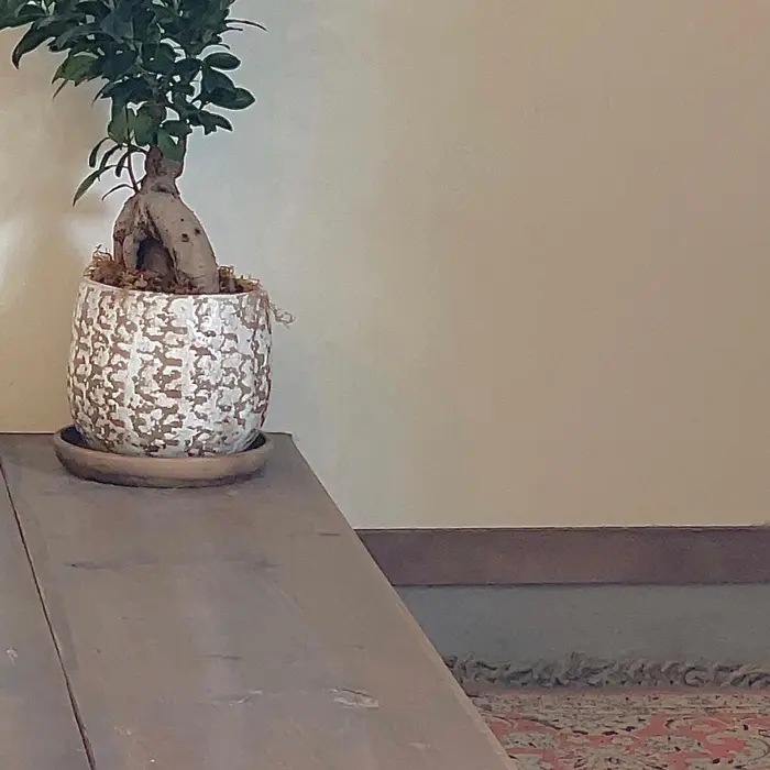 店舗紹介 東海市 知多市 東海市美容室 東海市美容院 東海市サロン 東海市ホワイトニング Lipsy By Soe ホワイトニングサロン所属 セルフホワイトニング Lipsybysoeのヘアカタログ ミニモ