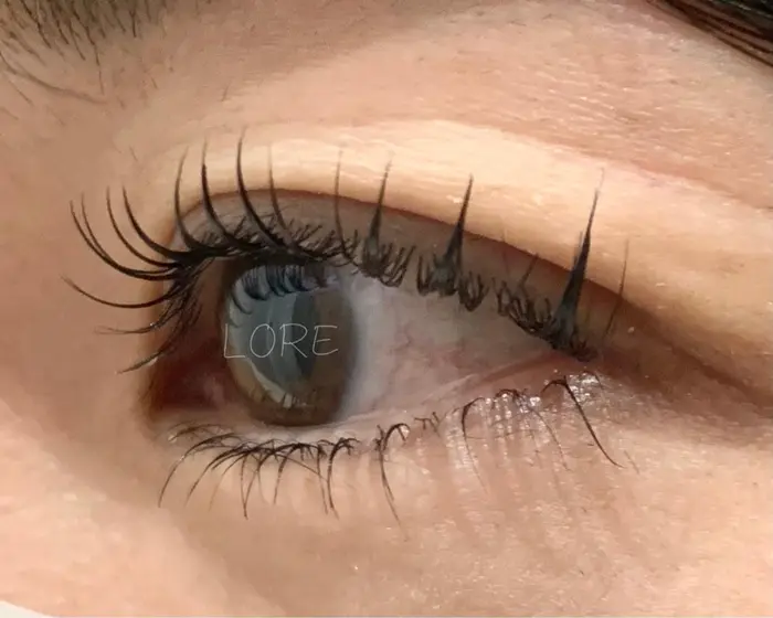 上下まつげトリートメント カール リフト Dカールデザイン Lore Eye Lash所属 Lore Eye Lashのマツエクデザイン ミニモ