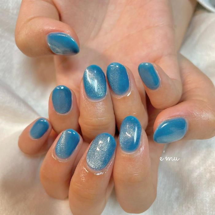 マグネットネイル ワンカラー ブルーカラー Private Nail Salon E Mu所属 Nail Salon E Muのネイル デザイン ミニモ