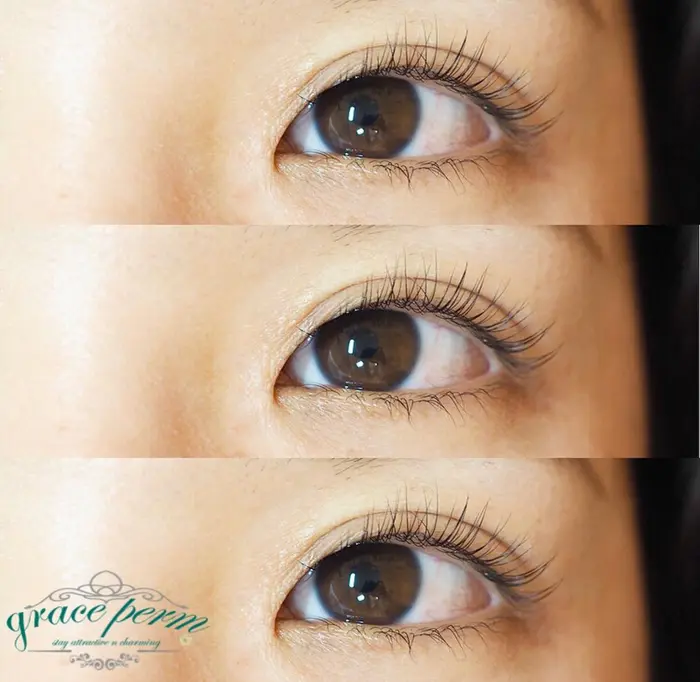 グレースパーマ 立ち上げ系 まつげエクステ まつげパーマ専門店 Alchemy所属 Alchemy アルケミー のマツエクデザイン ミニモ