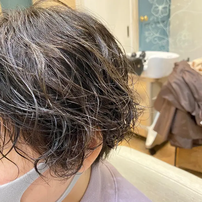 暗髪 ショートパーマ Ramphy Hair Atelier所属 山本 梨乃のヘアカタログ ミニモ