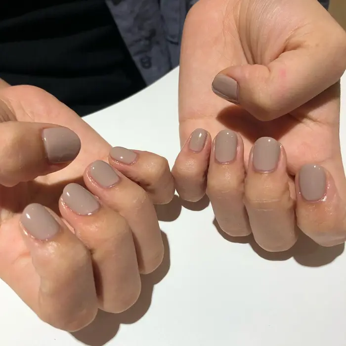 ユーモア 大陸 ダーツ シェラック ワン カラー Romantische Jp