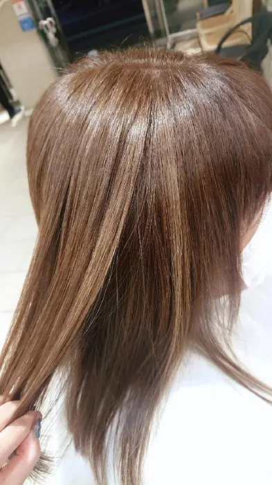 ハイライトメッシュを入れて 白髪染めを使わなくても 気にならないカラーに 表面から 耳上までいれ Progress 東久留米所属 田村 泉花のヘアカタログ ミニモ