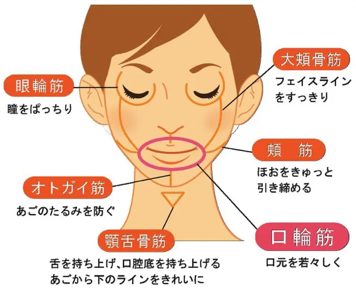 顎や頬のたるみを改善に導くフェイスリフトの効果とダウンタイム 経過の目安 Kirei