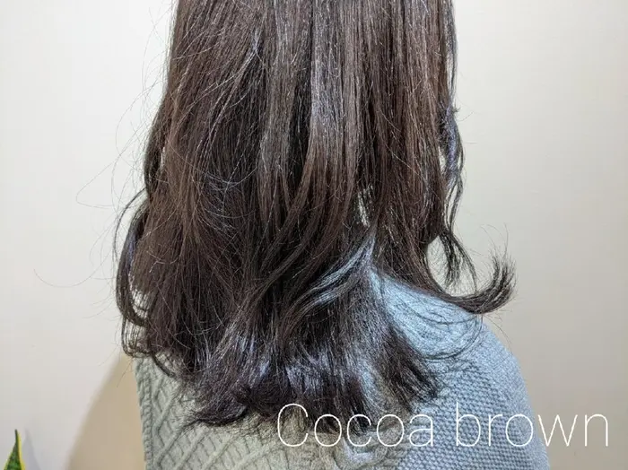 ココアブラウンカラー 秋にもおすすめの透明感カラー アトリエニューヨーク三ノ輪 上野美容室 Atelier Newyork 三ノ輪店所属 今だけカット0円 スギタハヤトのヘアカタログ ミニモ