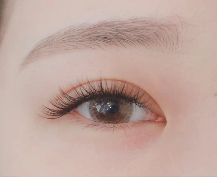 タレ目デザイン Fast Lash所属 Fast Lashのマツエクデザイン ミニモ