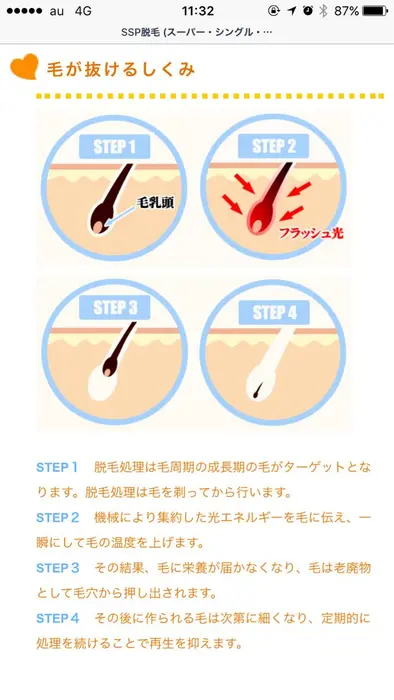 脱毛の毛の抜ける仕組み アンジェリーク所属 久保 珠栄のエステ リラクカタログ ミニモ 脱毛の毛の抜ける仕組み アンジェリーク所属 久保 珠栄のエステ リラクカタログ ミニモ