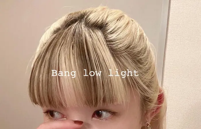 前髪のツートンカラー ワントーンに飽きてきた方おススメです Hair Salon Savoia Vegan Organic所属 デザインカラー Ayumiのヘアカタログ ミニモ