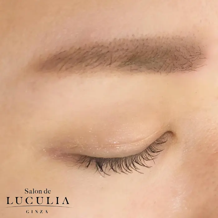愛され平行眉 眉の輪郭がはっきりするのでメイクがしやすくなります Salon De Luculia銀座店所属 吉岡 あゆみのマツエクデザイン ミニモ
