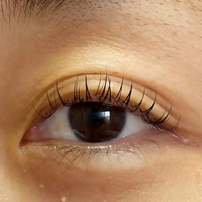 カール感が可愛い Cl クリア 所属 Cl クリア Mikotoのマツエクデザイン ミニモ