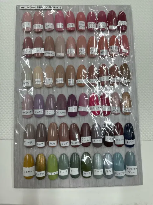 色見本になります。｜bs-nail 金山店/school所属・bs-nail 大村の 