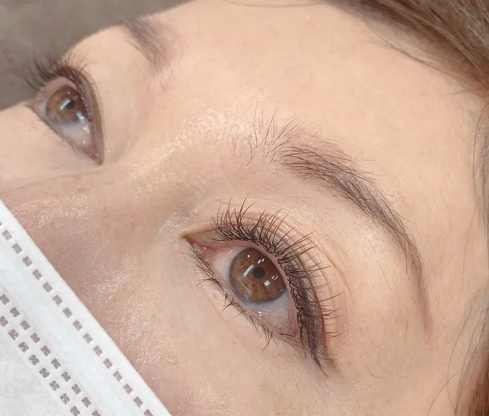 フラットマットラッシュ ダークモカ ブラウン Cカール140本 ミントラッシュ 新宿西口店所属 O Mikaのマツエク デザイン ミニモ