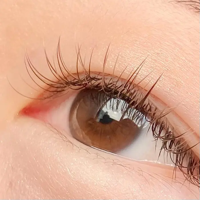 Sheerbrown Mix Go Today Shaire Salon所属 青木 杏奈のマツエクデザイン ミニモ